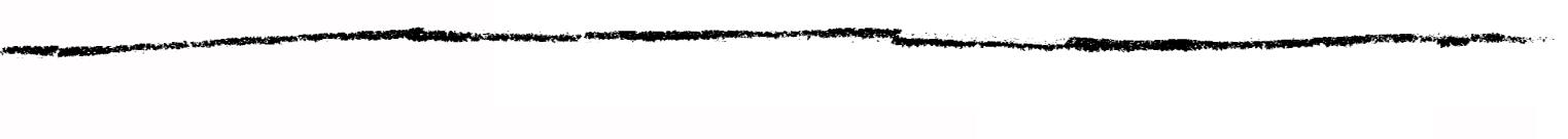 Terri | Resume-writing Expert